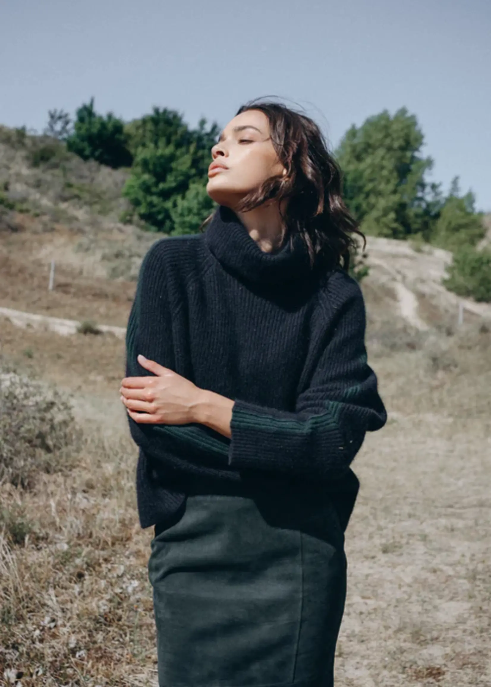 Pull Rule N°49 Woolmix Sapphire/Forest