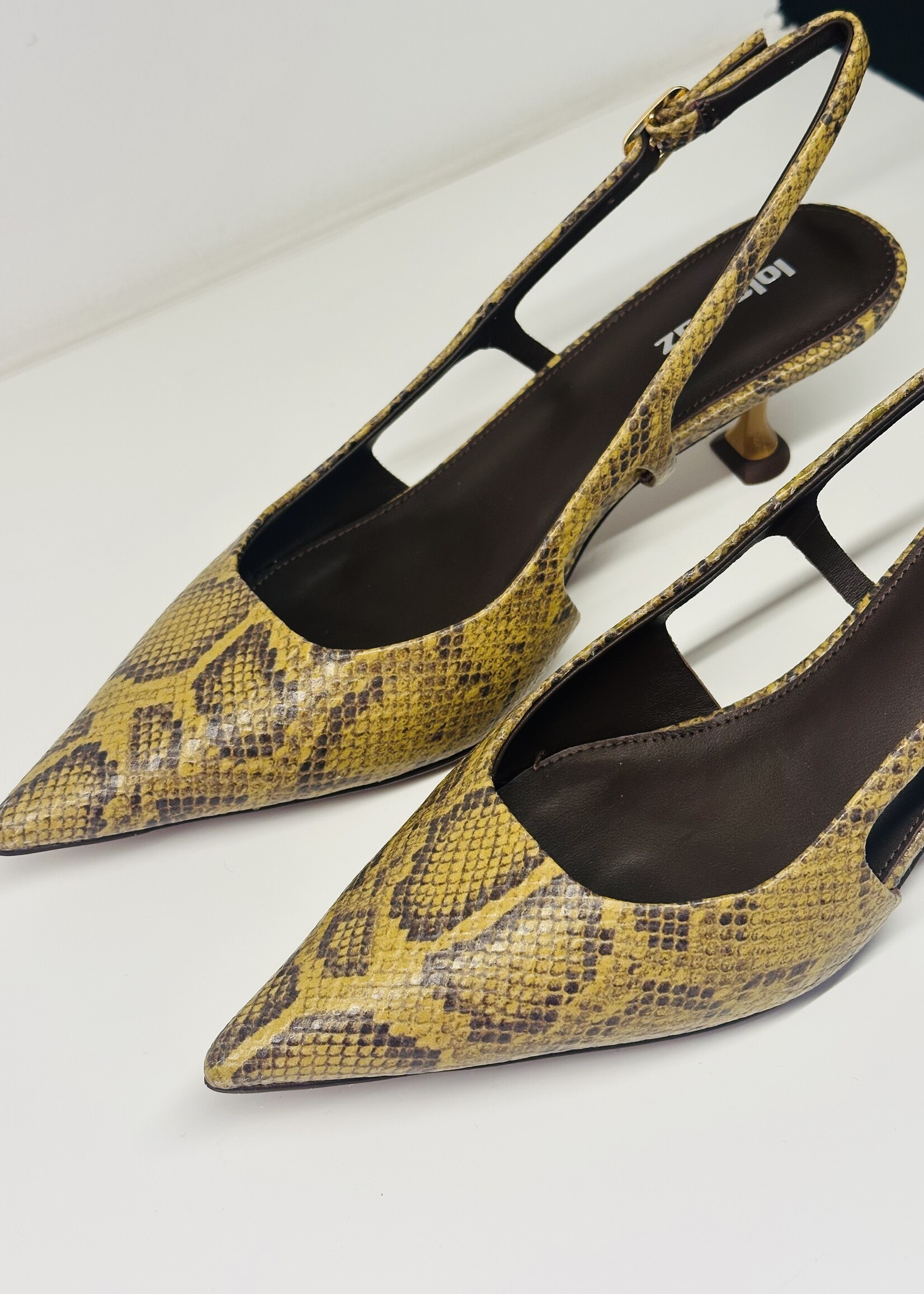 Olive Python slingback