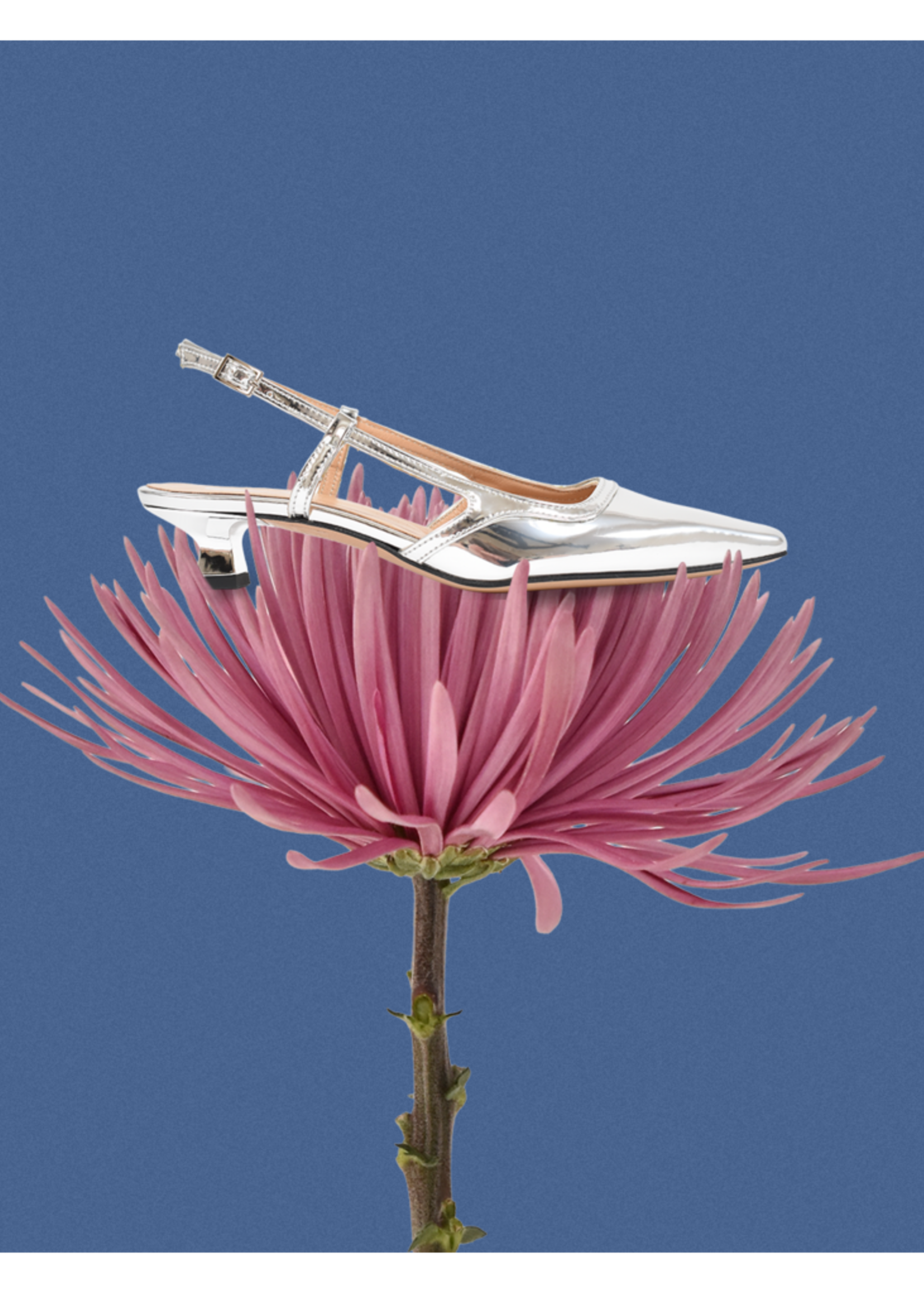 Katleen Mirror Silver Slingback