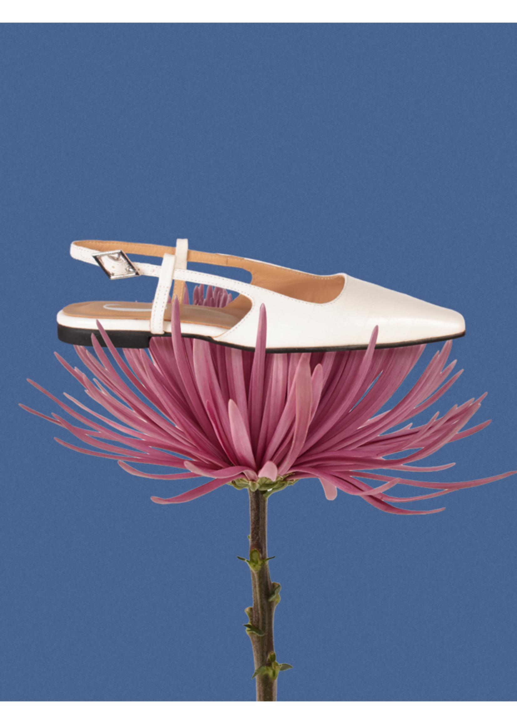 Lara Croco Cream Slingback