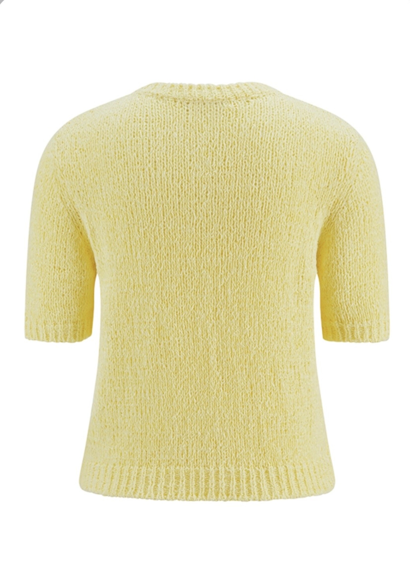 Pullover Short Sleeve Sweater Sunkissed