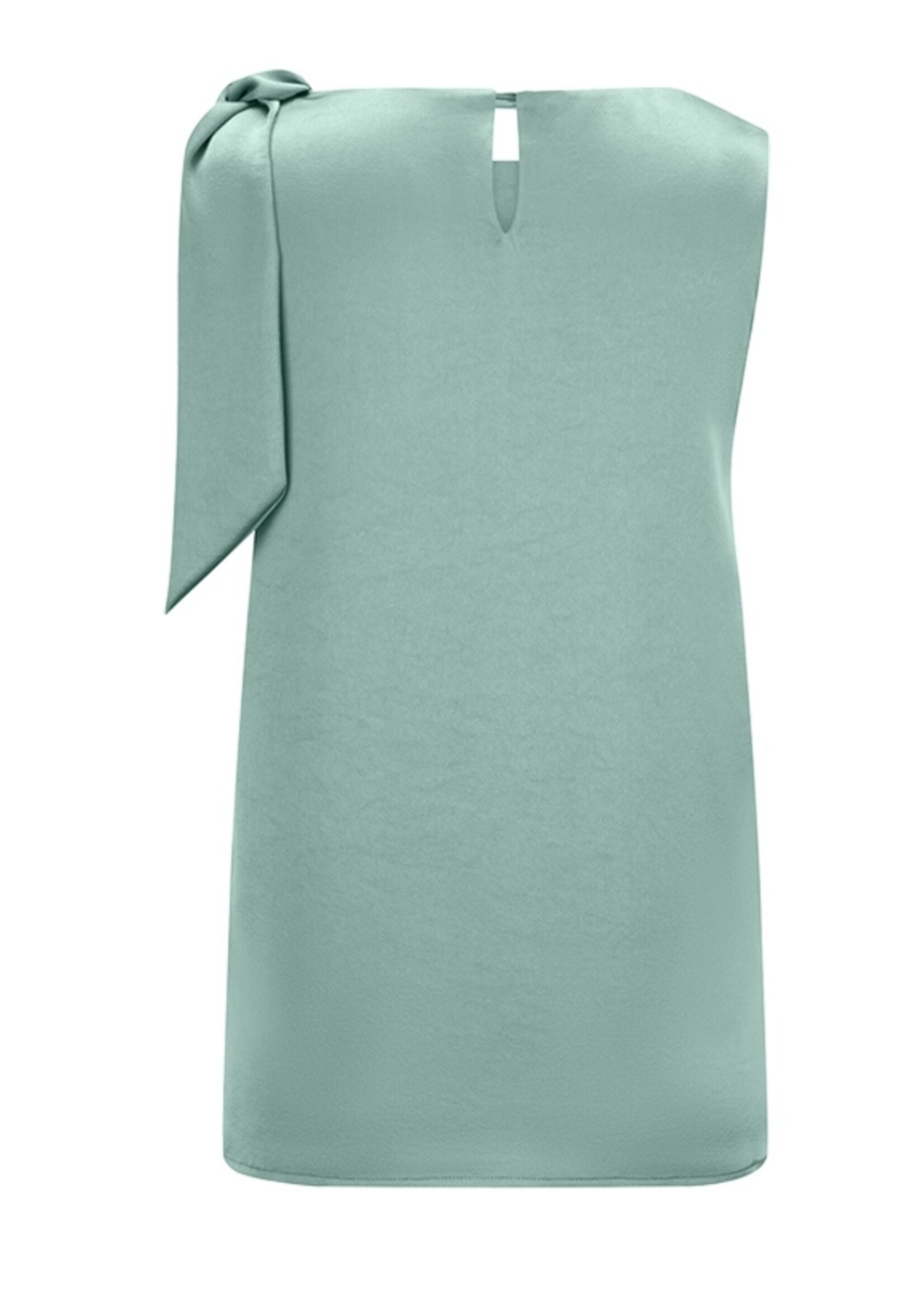 Top With Bow Detail Basil