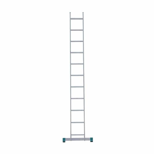 Eurostairs Eurostairs home ladder enkel recht 1x11 sporten - Gebruikt
