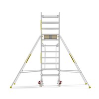 Panthera PRO 90x185 4,2m werkhoogte met dubbele voorloopleuning