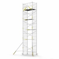 Panthera Basic 135x245 11,2m werkhoogte voorloopleuningen carbon vloer
