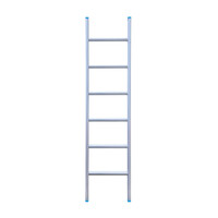 Eurostairs Eurostairs Ladder enkel recht 1x6 sporten Eurostairs Eurostairs Ladder enkel recht 1x6 sporten