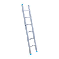 Eurostairs Eurostairs Ladder enkel recht 1x6 sporten Eurostairs Eurostairs Ladder enkel recht 1x6 sporten