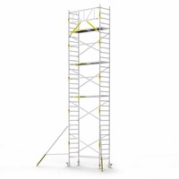 Panthera Basic met voorloopleuning rolsteiger carbon vloer 90x245x10,2m werkhoogte