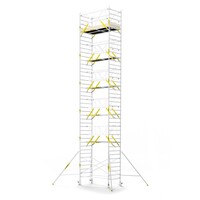 MAANDDEAL: Panthera PRO met dubbele voorloopleuning 135x245x13,2m werkhoogte carbon vloer