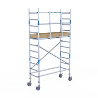 Alumexx Rolsteiger Alumexx Light 75x190 4,2m werkhoogte - Carbon platformen