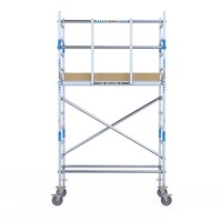Alumexx Rolsteiger Alumexx Light 75x190 4,2m werkhoogte - Carbon platformen