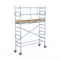 Alumexx Rolsteiger Alumexx Light 75x250 4,2m werkhoogte geschoord Carbon vloer