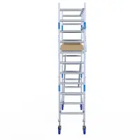 Alumexx Rolsteiger Alumexx Light 75x250 4,2m werkhoogte geschoord Carbon vloer