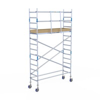 Alumexx Rolsteiger Alumexx Light 75x250 5,2m werkhoogte geschoord Carbon vloer