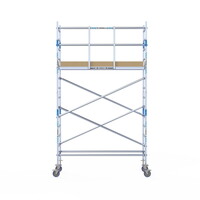 Alumexx Rolsteiger Alumexx Light 75x250 5,2m werkhoogte geschoord Carbon vloer