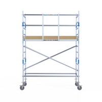Alumexx Rolsteiger Alumexx Light 90x250 4,2m werkhoogte geschoord
