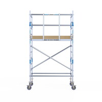 Alumexx Rolsteiger Alumexx Light 90x190 4,2m werkhoogte geschoord Carbon vloer