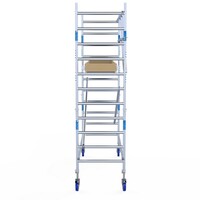 Alumexx Rolsteiger Alumexx Light 90x250 4,2m werkhoogte geschoord Carbon vloer