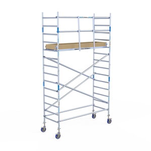 Rolsteiger Alumexx Light 90x250 5,2m werkhoogte geschoord Carbon vloer