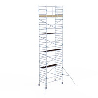 Alumexx Rolsteiger Alumexx Light 135x250 10,2m werkhoogte geschoord