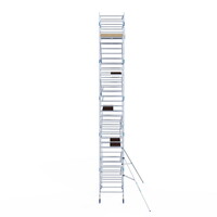 Alumexx Rolsteiger Alumexx Light 135x250 11,2m werkhoogte geschoord