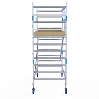 Alumexx Rolsteiger Alumexx Light 135x250 4,2m werkhoogte geschoord Carbon vloer