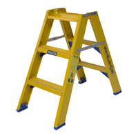 Staltor 2 x 3 tr. incl. platform glasvezelversterkte Industrietrap Type DT + baktrede NEN2484