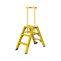 Staltor 2 x 3 tr. incl. platform glasvezelversterkte Industrietrap Type DT + wegklapbare beugel NEN2484
