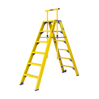 Staltor 2 x 6 tr. incl. platform glasvezelversterkte Industrietrap Type DT + wegklapbare beugel NEN2484