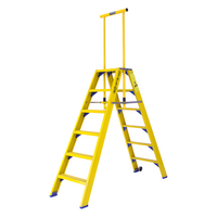 Staltor 2 x 6 tr. incl. platform glasvezelversterkte Industrietrap Type DT + wegklapbare beugel NEN2484