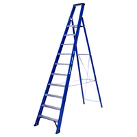 DAS products 1 x 10 incl. platform Industriële trap enkel  Blue type Hercules