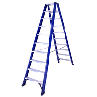 DAS products 2 x 10 incl. platform Industriële trap dubbel Blue type Hercules