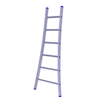 Solide 1 x 6 sp Prof. Enkele Industrieladder met uitgebogen voet Type A06
