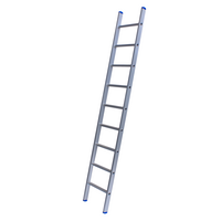 Solide 1 x 9 sp. Prof. Enkele Industrieladder met uitgebogen voet Type A09