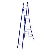 DAS products 2 x 12 sp. Industrieladder 2-delig uitgebogen voet blauw Type Atlas