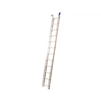 Solide Solide Dakladder set 5 m (inclusief universele nokhaak) Solide Solide Dakladder set 5 m (inclusief universele nokhaak)