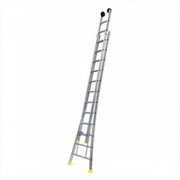 Panthera Opsteek ladder 2x16 uitgebogen geanodiseerd + toprollen Panthera Opsteek ladder 2x16 uitgebogen geanodiseerd + toprollen