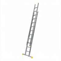 Panthera Reformladder dubbel recht 2 x 10 sporten Panthera Reformladder dubbel recht 2 x 10 sporten