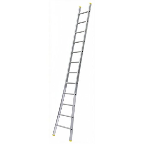 Panthera Ladder enkel uitgebogen 1 x 12 sporten