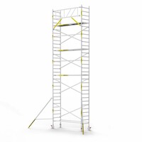 Panthera Basic met voorloopleuning rolsteiger carbon vloer 90x305x10,2m werkhoogte
