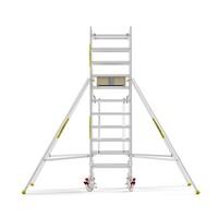 MAANDDEAL: Panthera PRO met dubbele voorloopleuning 90x185x4,2m werkhoogte