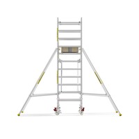 MAANDDEAL: Panthera PRO met dubbele voorloopleuning 90x305x4,2m werkhoogte carbon vloer