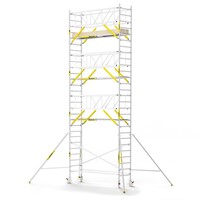 MAANDDEAL: Panthera PRO met dubbele voorloopleuning 90x305x9,2m werkhoogte carbon vloer