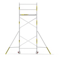 Panthera Basic geschoord rolsteiger carbon vloer 135x185x6,2m werkhoogte