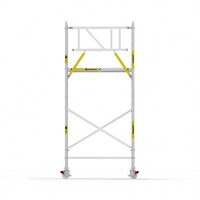 Panthera Basic met voorloopleuning rolsteiger carbon vloer 135x185x5,2m werkhoogte
