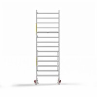 Panthera Basic met voorloopleuning rolsteiger carbon vloer 135x185x5,2m werkhoogte