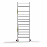 Panthera Basic met voorloopleuning rolsteiger carbon vloer 135x245x5,2m werkhoogte