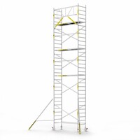 Panthera Basic met voorloopleuning rolsteiger carbon vloer 90x245x10,2m werkhoogte