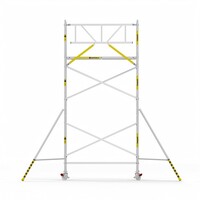 Panthera Basic met voorloopleuning rolsteiger carbon vloer 90x245x6,2m werkhoogte
