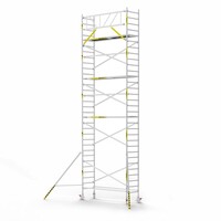 Panthera Basic met voorloopleuning rolsteiger carbon vloer 90x305x10,2m werkhoogte